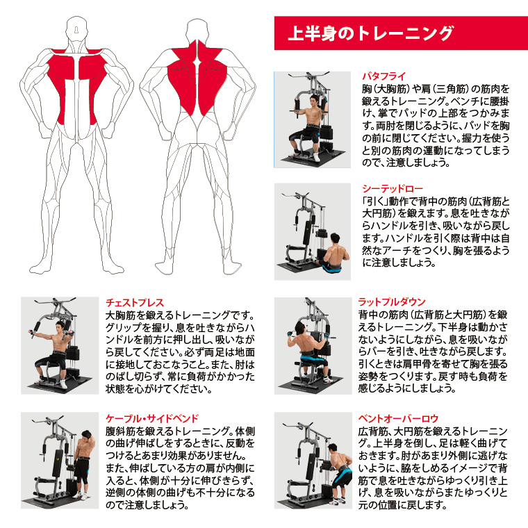 上半身のトレーニング、バタフライ胸(大胸筋)や肩(三角筋)の筋肉を鍛えるトレーニング。ベンチに腰掛け、掌でパッドの上部をつかみます。両肘を閉じるようにパッドを胸の前に閉じてください。握力を使うと別の筋肉の運動になってしまうので、注意しましょう。シーテッドロー引く動作で背中の筋肉(広背筋と大円筋)を鍛えます。息を吐きながらハンドルを引き、すいながら戻します、ハンドルを引く際は背中は自然なアーチを作り、胸を張るように注意しましょう。