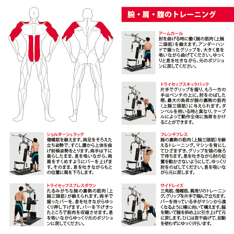 腕・肩・腹のトレーニング。アームカール、肘を曲げるときに働く腕の筋肉(上腕二頭筋)を鍛えます。アンダーハンドで握ったグリップを大きく息を吸いながら曲げてください。ゆっくりと息を吐きながら、元のポジションに戻してください。トライセップスキックバック、片手でグリップを握り、もう一方の手はベンチの上に。肘を伸ばした際、最大の負荷がの裏側の筋肉(上腕三頭筋)に与えられます。ダンベルを用いるときと異なり、ケーブルによって動作全体に負荷をかけることができます