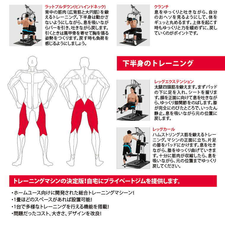 下半身のトレーニング。レッグエクステンション、大腿四頭筋を鍛えます、まずパッドの下に足を入れ、シートを握ります。顔を正面に向けて息を吐きながら、ゆっくり膝関節を伸ばします。膝が完全に伸びたところで、いったん静止。息を吸いながら元の位置に戻します。レッグカール、ハムストリングス筋を鍛えるトレーニング。マシンの正面に立ち、片足の膝をパッドにかけます。息を吐きながら膝をゆっくり曲げていきます。十分に筋肉が収縮したら、息を吸いながら、元の位置までゆっくり戻してください。
